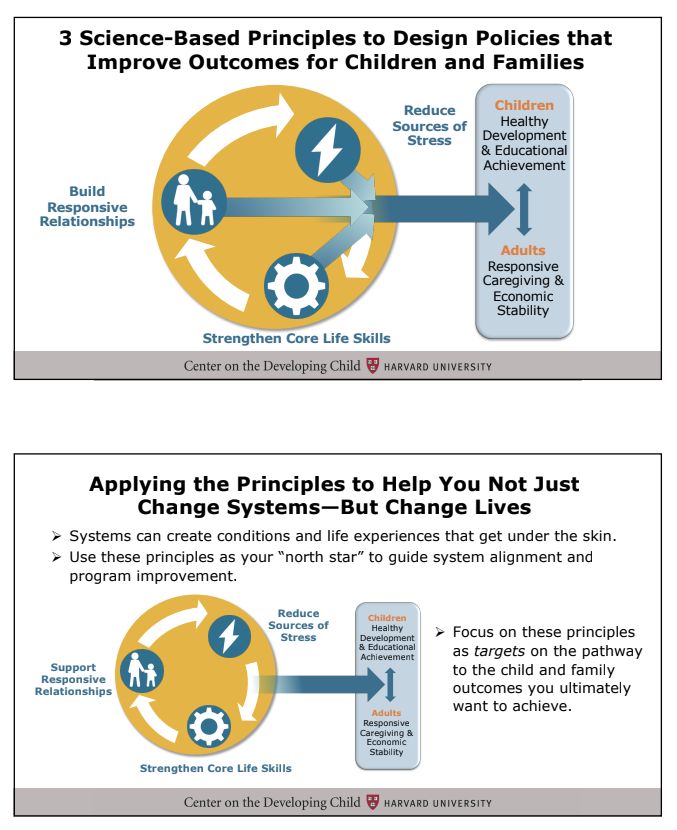 3 Science-Based Principles to Design Policies that Improve Outcomes for Children and Families