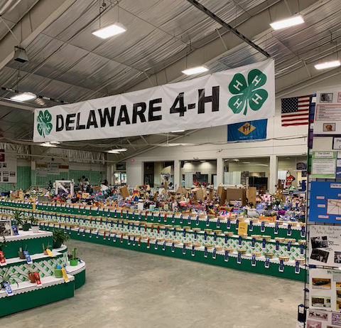 Delaware 4-H