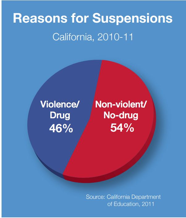 Pie chart of suspension and expulsion rates