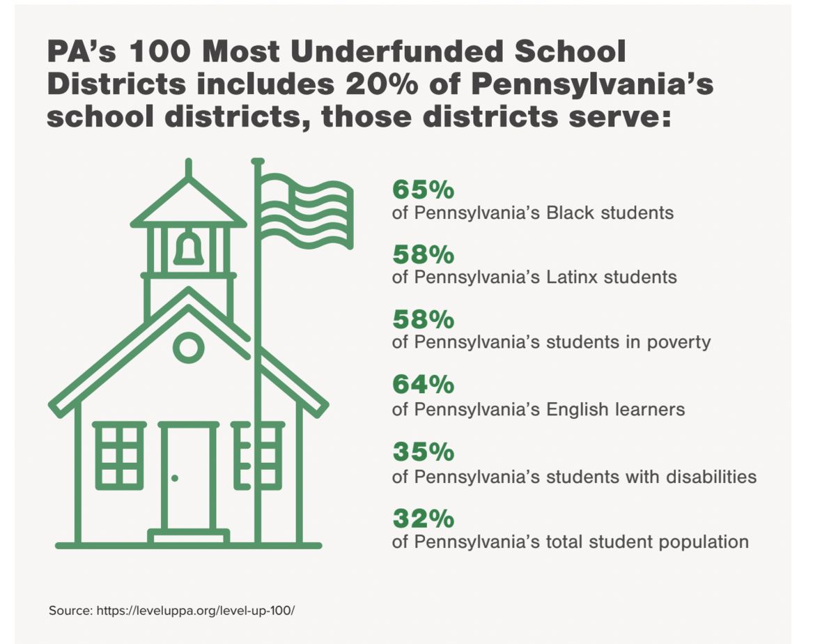 Demographic chart of students in school districts